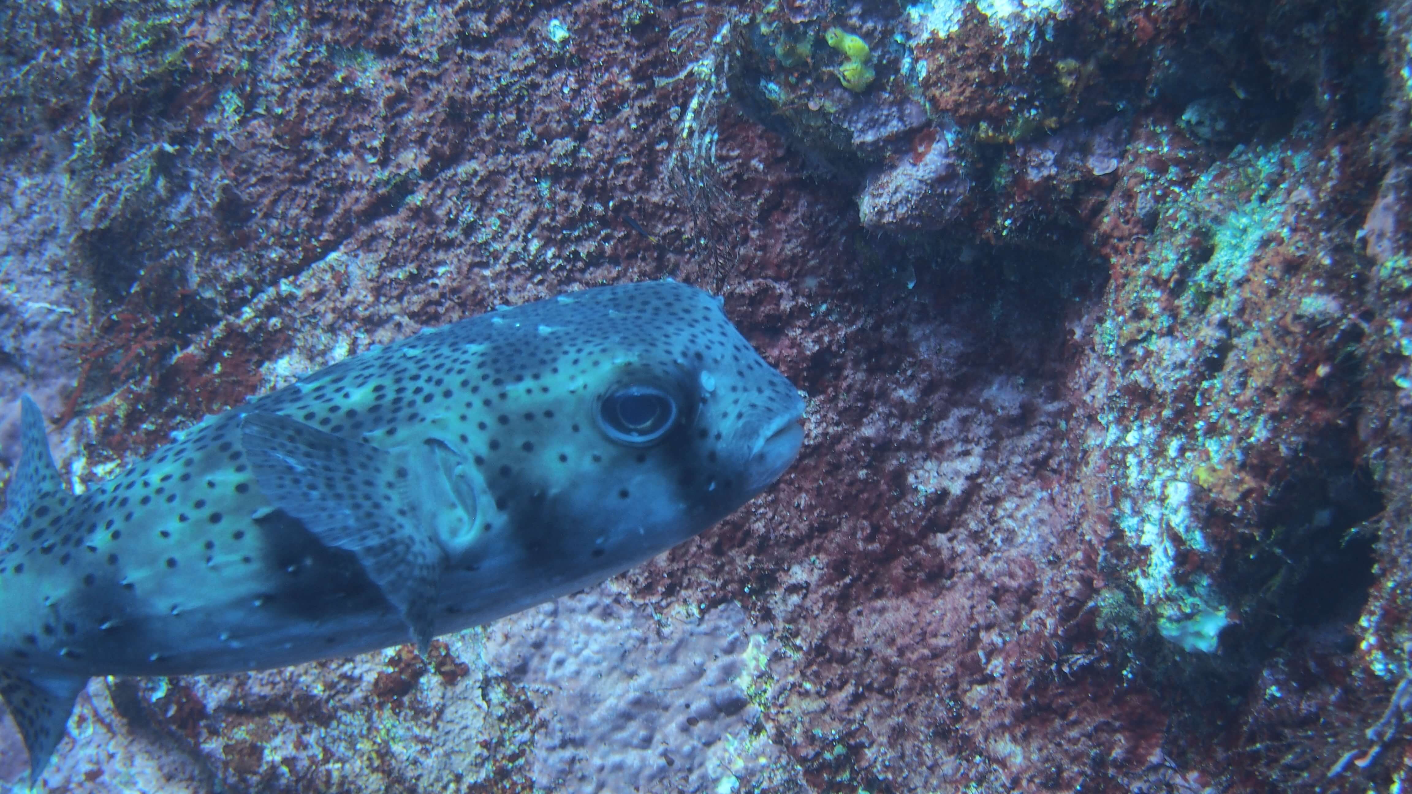 伊豆公園の水面写真02